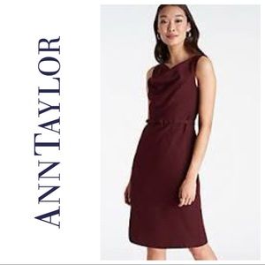 NWT Ann Taylor Belted Cowl Sheath Dress Mauve Rose